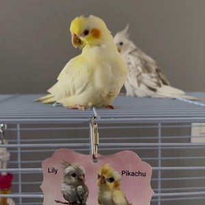 Yesenia さんが購入した商品の写真を追加しました