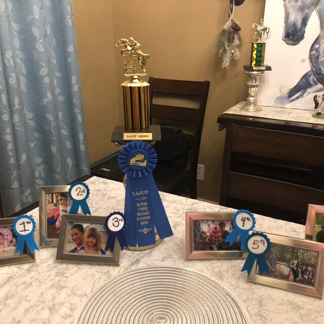 First Place Blue and Gold AWARD Ribbon-felt Award Ribbons-trophy  Ribbons-quiet Books-winners Felt Ribbon-prize Ribbon-felt Blue Ribbons 