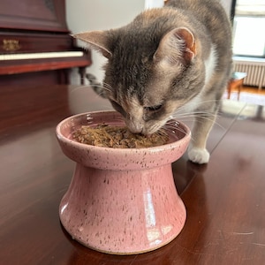 Abby added a photo of their purchase