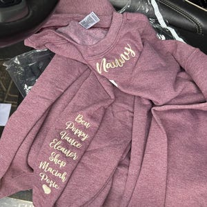 Custom University Hoodie | Customizable Embroidered Pennant Sweatshirt with Team Name | Game Day Shirt for Sorority, Fraternity Spirit