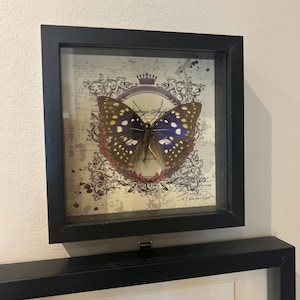 Cora added a photo of their purchase