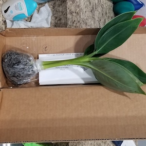 James ha añadido una foto de su compra