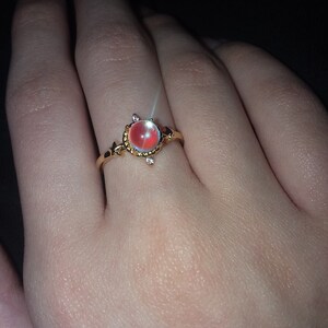 angelina added a photo of their purchase
