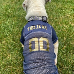 Custom Football/Soccer/Lacrosse Jersey For Dogs Custom Football Jersey for  Dogs [] - $37.95 : Stitchworks, Making you a part of the game!