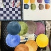 Collection of wild foraged pigment powders in diverse natural colors