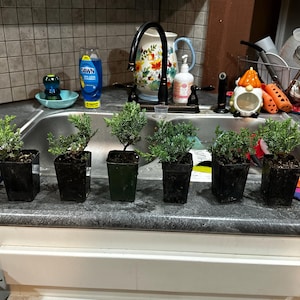 Robbi added a photo of their purchase