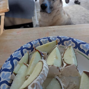 Kerri ha añadido una foto de su compra