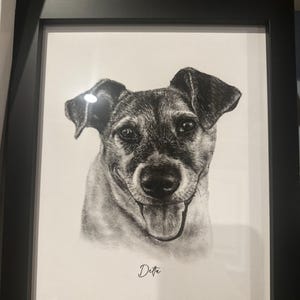 Kelly added a photo of their purchase