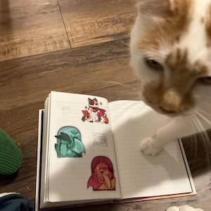 Jennifer added a photo of their purchase