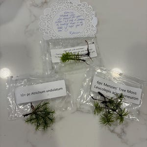 Emily さんが購入した商品の写真を追加しました