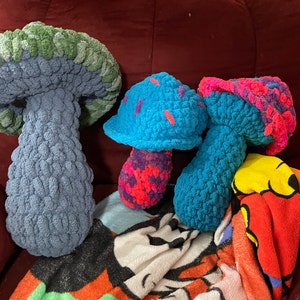 amanda added a photo of their purchase