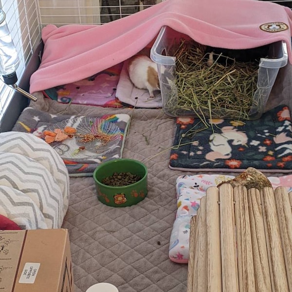 Curated visual reference: Picture Idea: Guineadad Fleece Liner 2 0 Guinea Pig Fleece Cage Liners