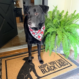 Veronica added a photo of their purchase