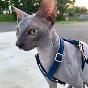 Stephanie added a photo of their purchase