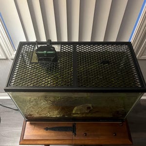Paula added a photo of their purchase