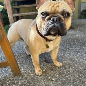 Jolie a ajouté une photo de son achat