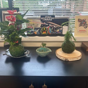 noah ha aggiunto una foto del proprio acquisto