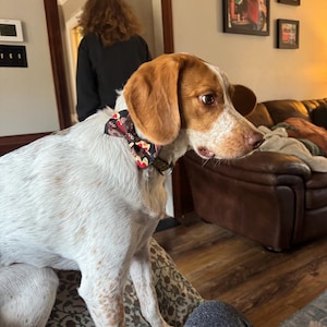 Karen added a photo of their purchase