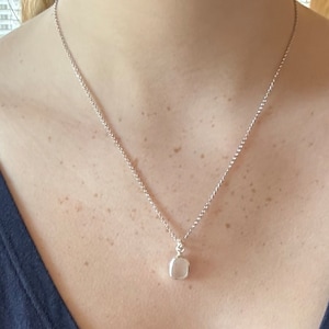 evelyn added a photo of their purchase