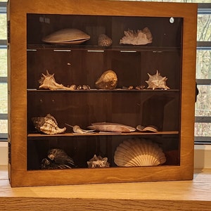 Franz added a photo of their purchase