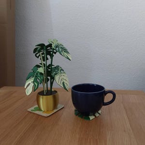 モンステラコースター植物、マグネット式葉っぱ（内側に穴あり）、植物