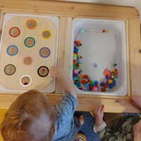 Large Double Sided Flisat Colour Sorting & Counting Insert, Flisat ...