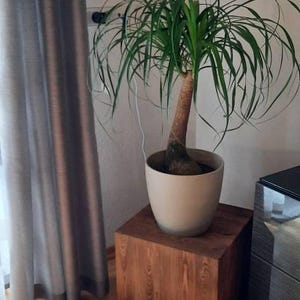 Renate ha añadido una foto de su compra