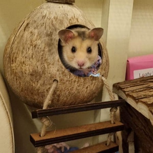 Jordan added a photo of their purchase