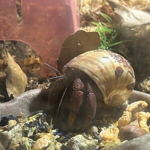 Angela ha añadido una foto de su compra