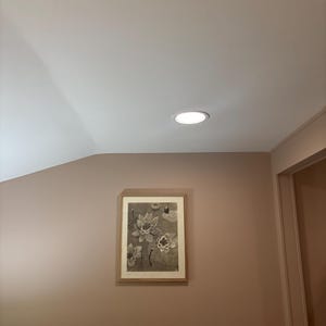 Meghan added a photo of their purchase