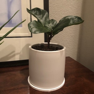 Kim added a photo of their purchase