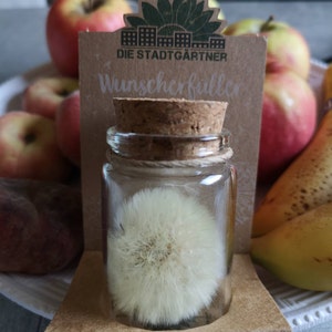 Vanessa added a photo of their purchase