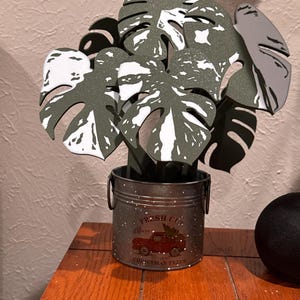 Shannon added a photo of their purchase