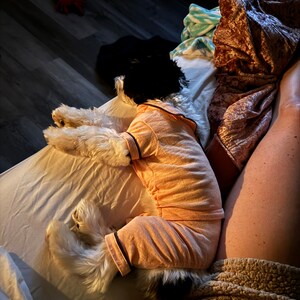 Amanda added a photo of their purchase