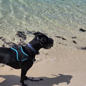 スタッフィー様確認用 スタッフィー様確認用