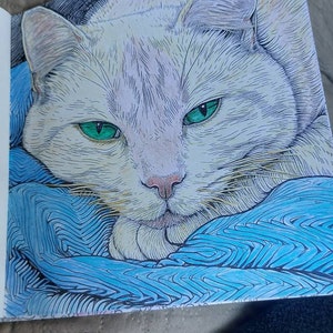 Jola added a photo of their purchase