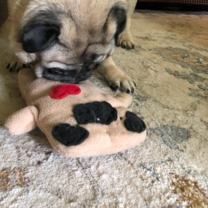 Gray hat ein Foto des gekauften Artikels hinzugefügt