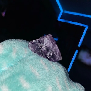 Kendallyn added a photo of their purchase