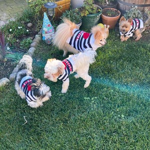 Maria a ajouté une photo de son achat