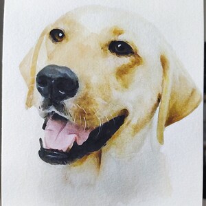 Watercolor dog painting Custom watercolor pet portrait DOG | Etsy