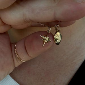 Emily added a photo of their purchase