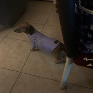 Victoria added a photo of their purchase