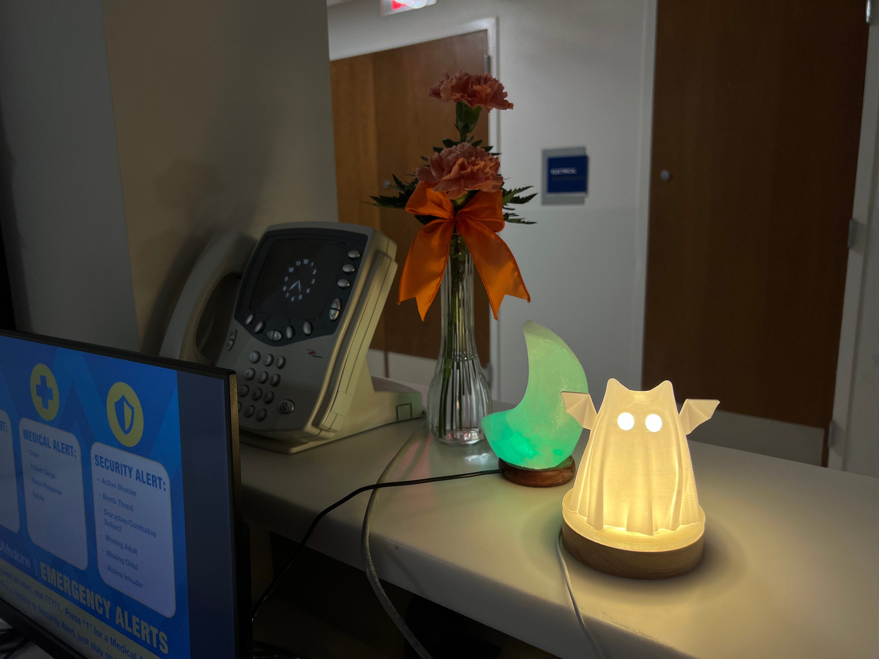 Super Adorable Cat Bat Sheet Ghost LED Light - Free Shipping! -- Ghost Art , Ghost Decor , Cute Gift , Spooky Decor , Halloween Gift