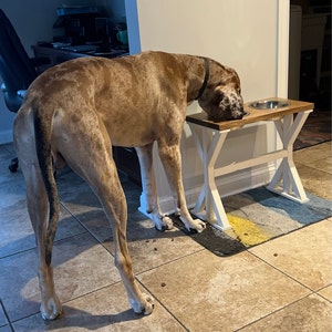 Katie added a photo of their purchase