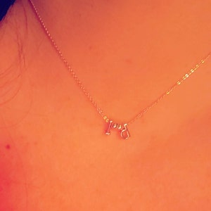 Amanda added a photo of their purchase