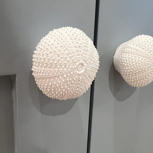 JOANNE added a photo of their purchase