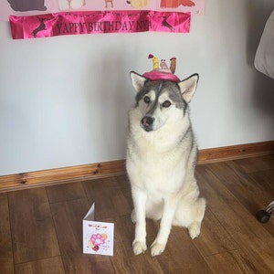 joanne hat ein Foto des gekauften Artikels hinzugefügt