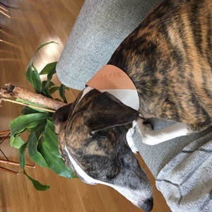 Maria added a photo of their purchase
