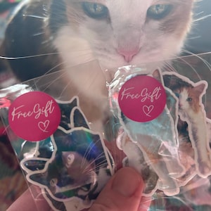 Faith さんが購入した商品の写真を追加しました