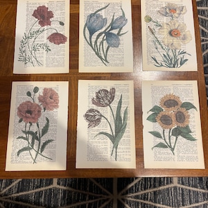 Virginia added a photo of their purchase